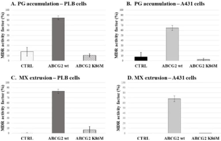 Fig 2. MDR activity factors based on PG and mitoxantrone (MX) accumulation in human PLB and A431 cells.