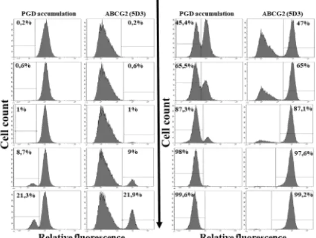 Fig 4. Flow cytometry detection of PG accumulation in human PLB cells—Recognition and separation of control PLB cells and PLB cells expressing the ABCG2 transporter