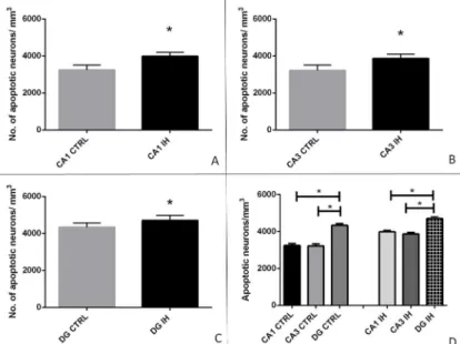 Fig 4. Apoptotic neurons per mm 3 of tissue in the control group (CTRL) compared to the intermittent hypoxia group (IH) in cornu ammonis 1(CA1) subfield (P&lt; 0.001) (A), cornu ammonis 3 (CA3) subfield (P = 0.001) (B), and the dentate gyrus (DG) (P = 0.02