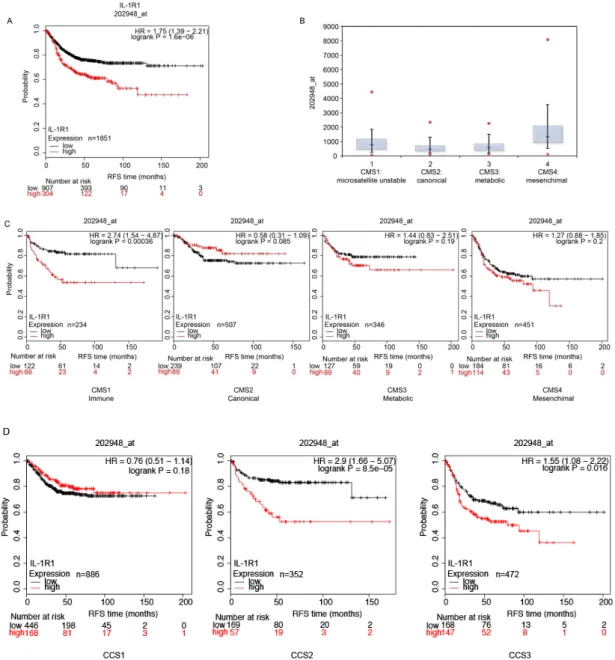 Figure 5. IL-1 receptor expression predicts survival in CRC patients. (A) A cohort of 1211 patients  was divided into two groups according to IL-1 receptor abundance