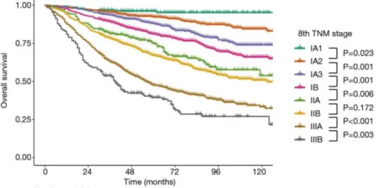 10. Figure – Survival curves of OS according to the 8 th  TNM in the cohort of Yun et al