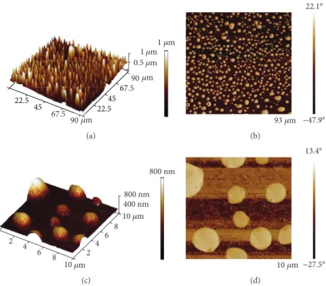 Figure 3: Representative atomic force microscopy (AFM) images of the silver-polyethyleneimine-polylactic acid (Ag-PEI-PLA) polymer composite obtained in the tapping mode