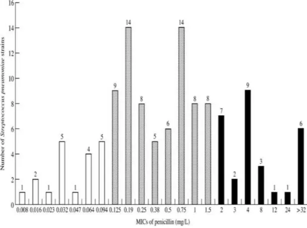 Figure II. Distribution of PNSP strains by their penicillin MICs by E-test method  MICs of penicillin for 120 S