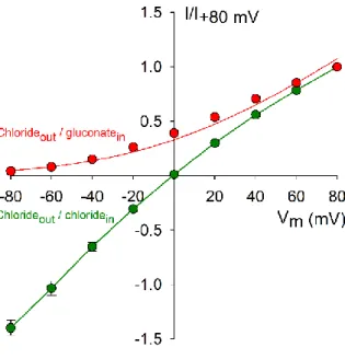 9. ábra: A kádoldat klorid ionjainak glükonáttal történő helyettesítése -80 mV-on megszünteti  a CFTR áramot 