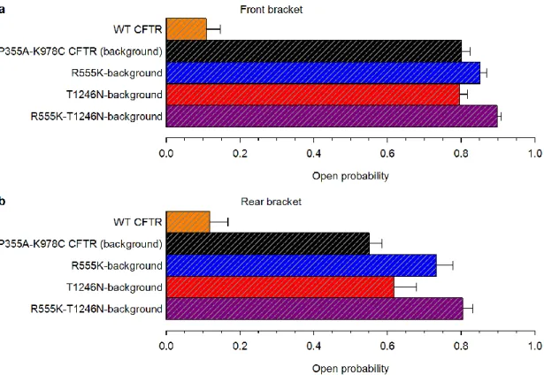 10. ábra: A háttér mutációk magas ATP-függő nyitvatartási valószínűséget eredményeznek  a–b, A PKA-val előzetesen foszforilált WT, illetve a mutáns ciklus négy sarkát alkotó mutáns CFTR  csatornák 2 mM ATP jelenlétében mérhető nyitvatartási valószínűségei