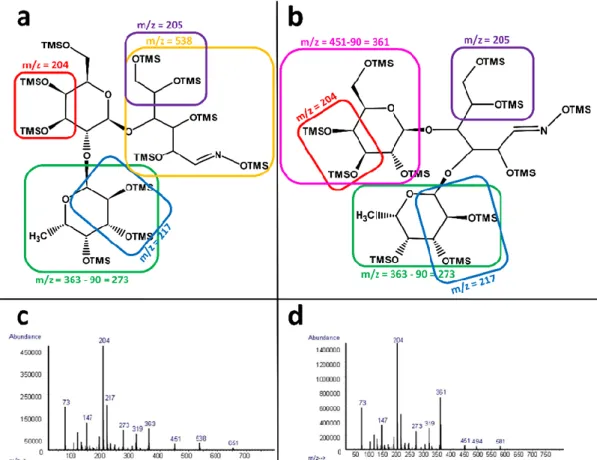 Figure 5. - Proposed fragmentation patterns and mass spectra of the trimethylsilyl oxime derivatives of the 2’-O- 2’-O-fucosyllactose (a and c) and 3-O-2’-O-fucosyllactose (b and d).Generally speaking m/z 73 refers to the TMSO radical ion, while 