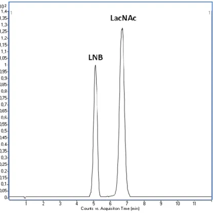 3. ábra - The chromatogram of the standards obtained with the developed method: H 2 O containing 0.1 v/v% HCOOH as  mobile phase A, methanol as mobile phase B at a flow rate of 0.5 mL/min.