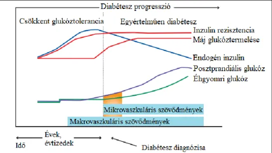 4. ábra: Az Európai Kardiológiai Társaság 2013-s ajánlása alapján a diabétesz mellitusz  glikémiás  kontinuum  koncepciójában  a  mikro-  és  makrovaszkuláris  szövődmények  kialakulása  a  betegség  progressziójához  köthető