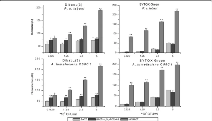 Fig. 7 Membrane depolarization and permeability testing of bacteria after treatment with oxidized AS as a function of bacterial concentration