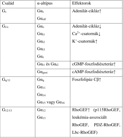 2. táblázat A G-fehérje családok és α-alegység altípusok jellegzetes effektorfehérjéikkel