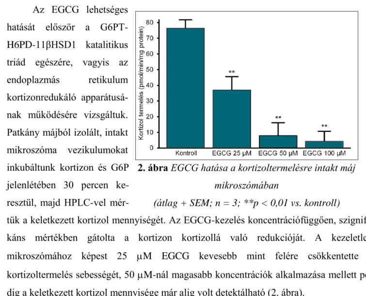 2. ábra EGCG hatása a kortizoltermelésre intakt máj  mikroszómában 