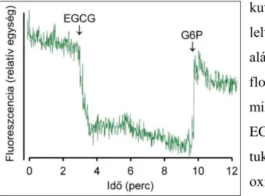 4. ábra EGCG hatása a mikroszóma  luminális NADPH-készletére 