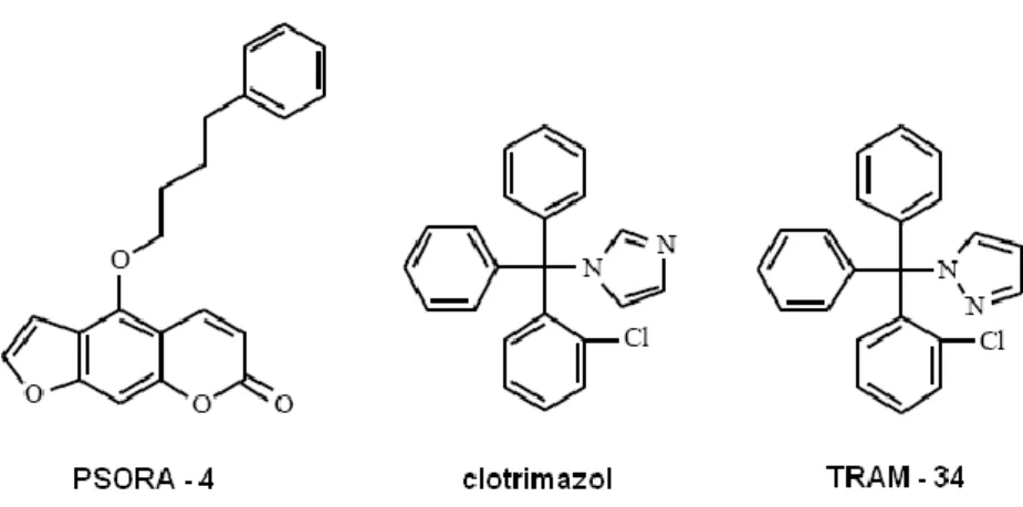 4. ábra: A limfocita kálium csatornák kis molekulájú gátlószereinek kémiai  szerkezete [2] 