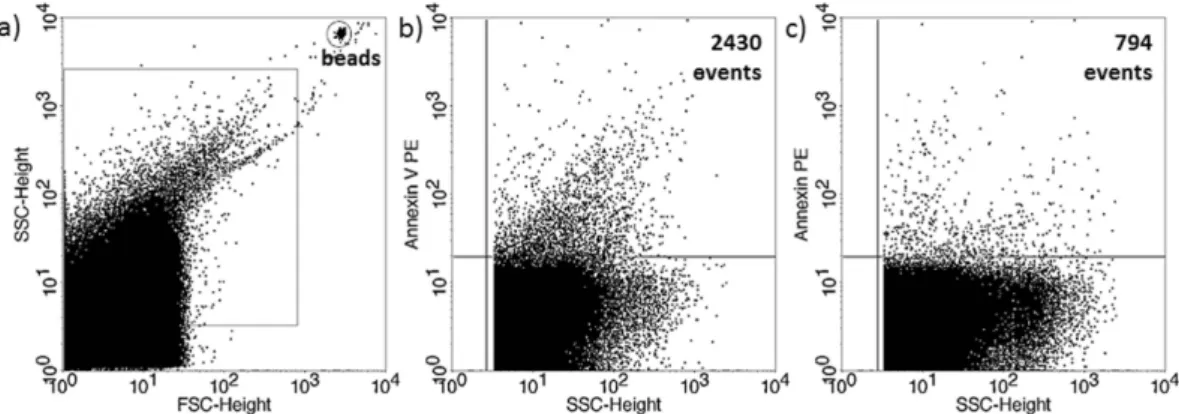 Figure 1.  Annexin V staining of embryo-derived EVs in embryo culture medium. (a) Representative FSC- FSC-SSC dot plot shows the size distribution of EVs in embryo culture medium