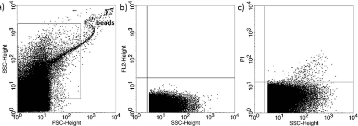 Figure 2.  Propidium iodide (PI) staining of embryo-derived EVs in embryo culture medium