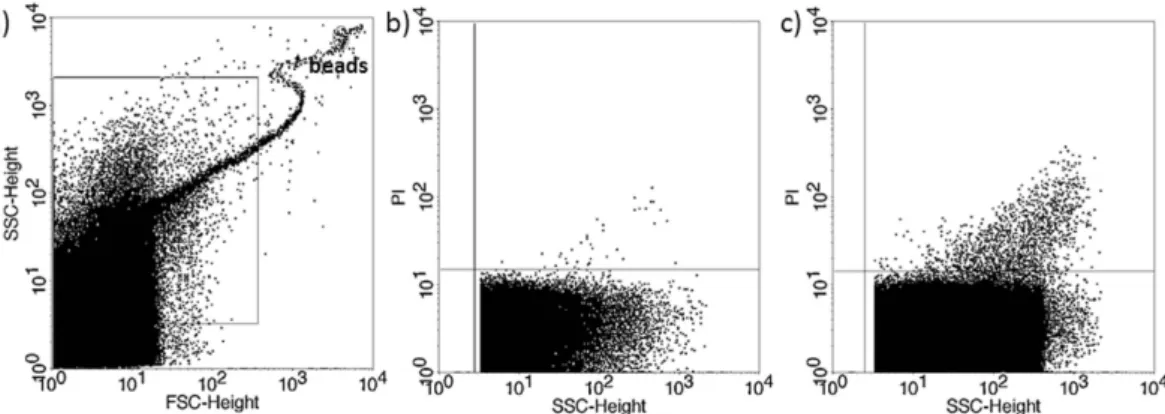 Figure 4.  Propidium iodide (PI) staining of embryo-derived EVs in embryo culture medium