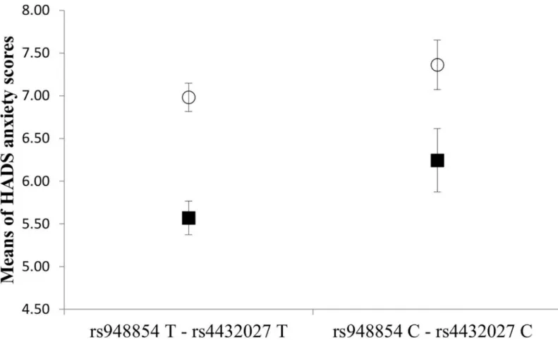 Fig 3. Effect of the GAL rs948854—rs4432027 haplotype on anxiety in males and females