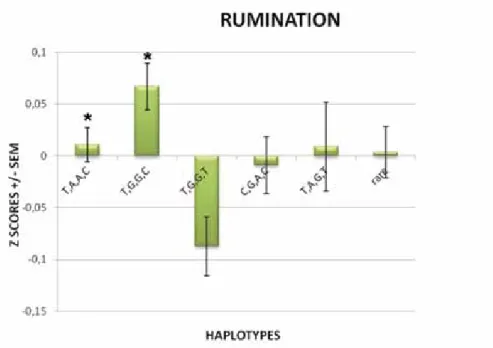 Figure 2   Haplotypic effect of COMT gene on rumination