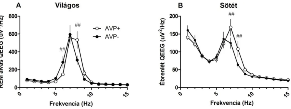 15. ábra Brattleboro patkányok ébrenléti és gyors szemmozgásos  alvás teljesítménysűrűség elemzése (felszíni  csavarelektródák,  fronto-parietális  EEG  elvezetés)