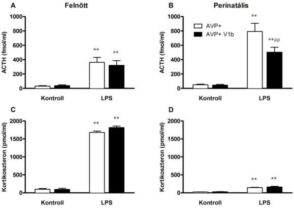 21. ábra Felnőtt és perinatális korú AVP+ Brattleboro patkányok LPS stressz során mért ACTH és  kortikoszteron  változásai  V1b  receptor  antagonista  előkezelést  követően