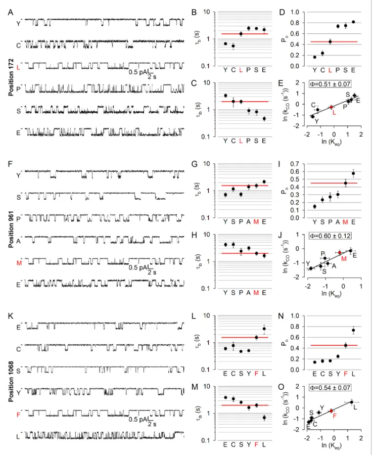 Figure 4. No asymmetry in the timing of motions can be detected at the level of the coupling helices