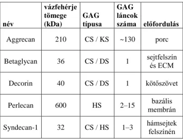 1. táblázat. A legismertebb proteoglikánok szerkezete és előfordulása. 