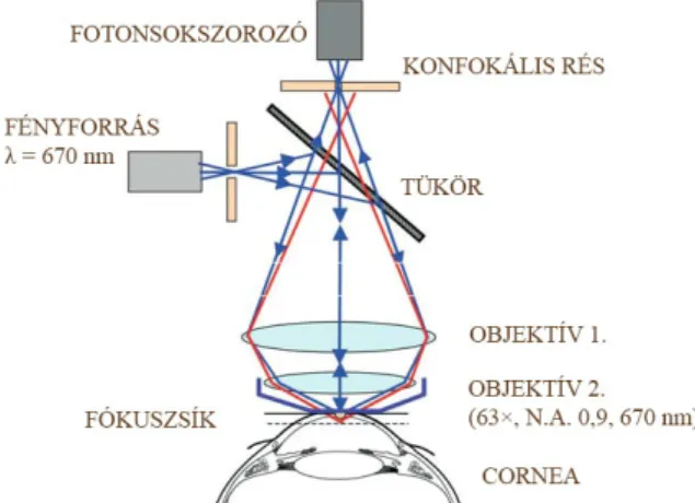 7. ábra A konfokális corneamikroszkóp m ű ködési elve (20)NA: numerikus apertúra. 