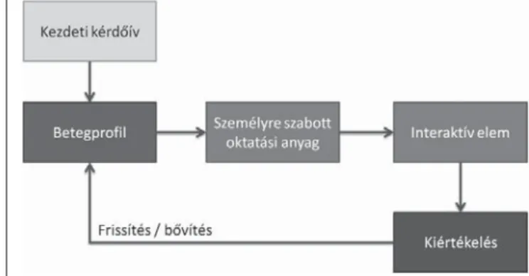 2. ábra Interaktív oktatási anyag ciklikusan frissített betegproﬁ llal