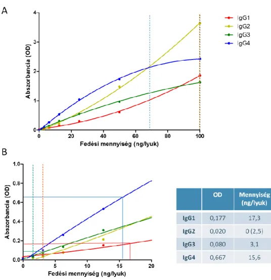 6. ábra. Kalibrátorgörbék, értékelésük és használatuk. (A) A kalibrátorlemez ismert  koncentrációjú, ismert alosztályú  IgG-vel  fedett lyukainak abszorbanciaértékei  alapján  készített  alosztályspecifikus  kalibrátorgörbék