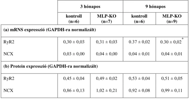 2. Táblázat RyR2 és NCX GAPDH-ra normalizált mRNS (a) és protein (b). 