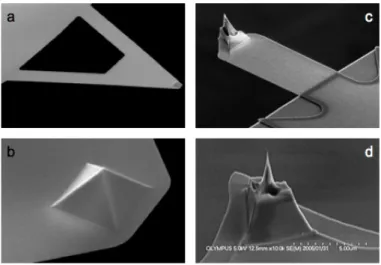 Fig.  10.  SEM  images  of  triangular  (a,b)  and  conical  (c,d)  AFM  cantilevers.   For  force  measurement pyrex-nitride Nanoworld cantilever (PNP-TR) was used with pyramidal tip  (b) with radius of &lt;10 nm