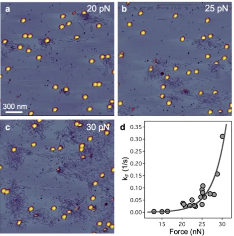 Fig. 11. The effect of increasing mechanical load on the DNA ejection triggering rate