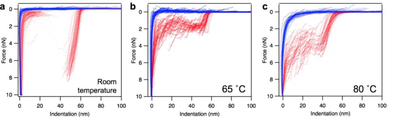 Fig. 4. Nanomechanics of T7 phages. Overlay of force versus indentation curves collected in  independent experiments on different phage particles at room temperature (a), at 65 ˚C (b)  and at 80 ˚C (c)