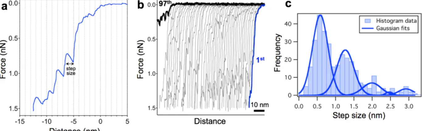 Fig.  5.  Stepwise  transitions  and  mechanical  fatigue  of  T7  bacteriophage  capsid