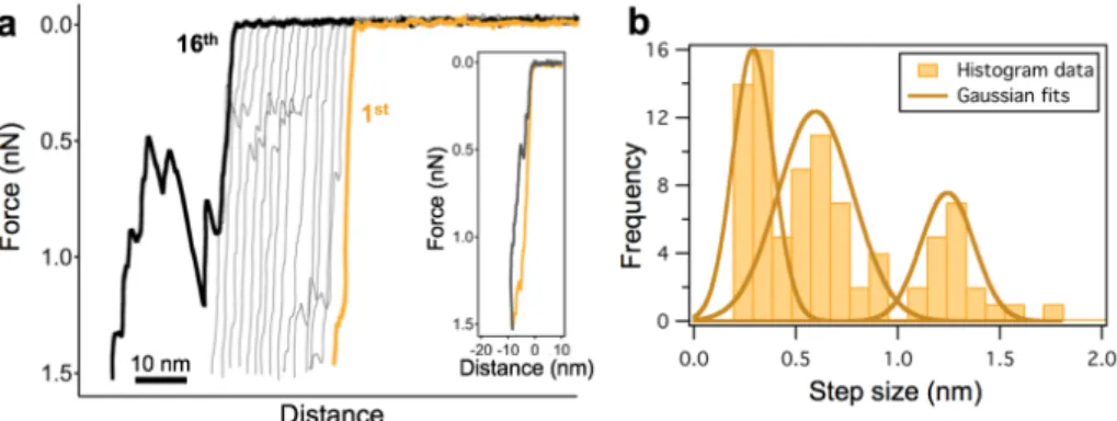 Fig.  6.  Discrete  nanoindentation  steps  in  heat-treated  (65  ˚C)  T7  bacteriophage  capsids