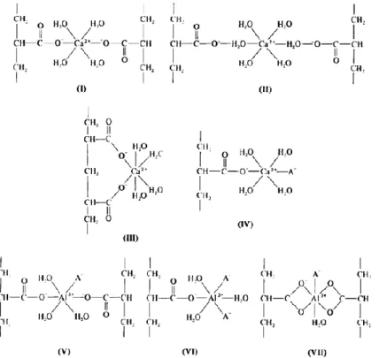 Figure 1.3 Possible molecular structures of the salt bridges proposed by Wilson [51,55] 