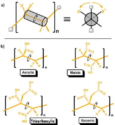 Figure  1.17  Stereochemistry  of polyacrylic  acid  copolymer  components.  (a)  Basic  stereochemistry  model:  Sawhorse  and  Newman  projections;  (b)  acrylic,  maleic,  tricarboxylic  and itaconic acids