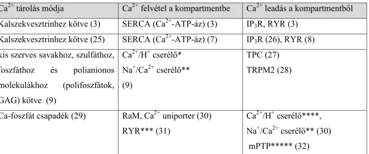 1. táblázat: Intracelluláris Ca 2+  raktárak és funkcióik 