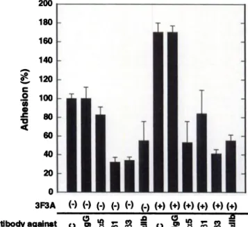 Fig. 3. gp78-stimulated increase in integrin surface expression on B16a cells. Bl6a cells (1 X 106)were treated with normal rat serum (1:25 dilution) or anti-AMF receptor antibody(3F3A,20 @g/m1) for 15mm.After incubation,surfaceexpressionof allb(33and a5@l