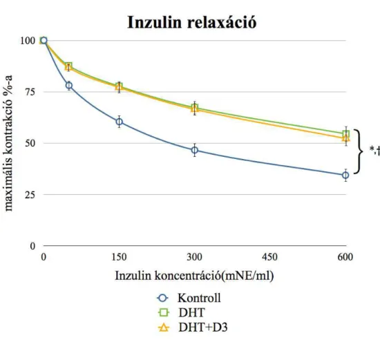 7. ábra: Az inzulin által létrehozott relaxációk 
