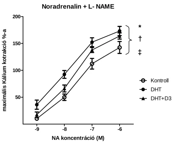 11. ábra: L-NAME el ő kezelést követ ő  kontrakciós görbék  Noradrenalin + L- NAME -9 -8 -7 -650100150200 KontrollDHT DHT+D3*†‡ NA koncentráció (M)