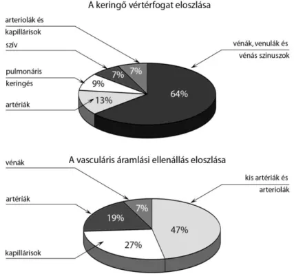 3. ábra: A kapacitás és a rezisztencia megoszlása a keringési rendszerben (Despopoulos  és Silbernagl 2009)