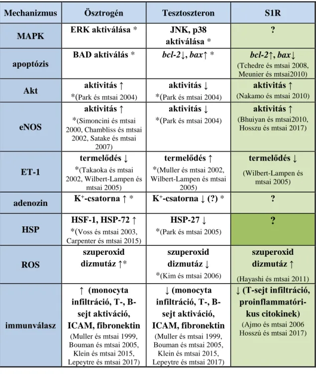 2. táblázat A nemi hormonok és a sigma-1 receptor szerepe a sejt stresszválaszában  (S1R:  sigma-1  receptor,  MAPK:  mitogén  aktivált  protein  kináz,  ERK:  extracellular  regulated  kinase,  JNK:  c-Jun  N-terminal  kinase,  BAD:Bcl-XL/Bcl-2  associate