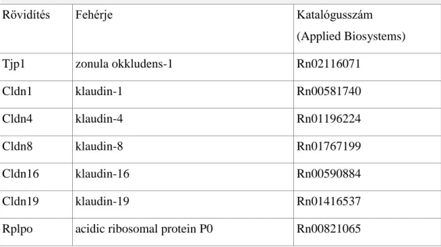 2. táblázat: A kvantitatív-PCR kísérlethez használt előregyártott primer-párok  