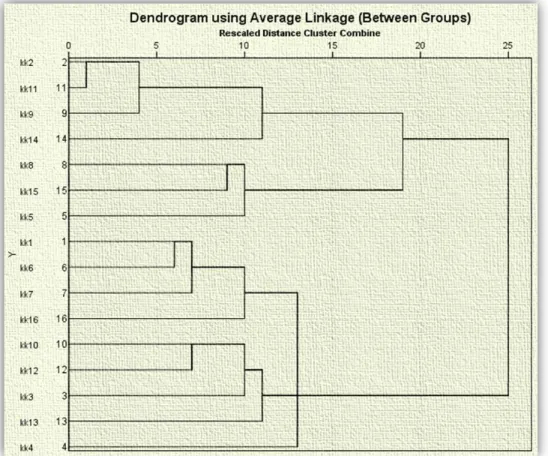 Figure 6: Dendrogram showing the knowledge about determining of nursing functions