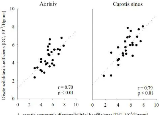 10. ábra: Az a. carotis comunis disztenzibilitásának összefüggése az aortaív és a carotis  sinus disztenzibilitásával (nem publikált adatok) 