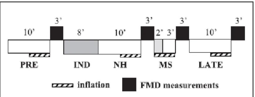 Figure 2. The design of the clinical experiment on the effect of hypnosis on  stress-mediated vascular function 