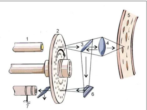 3. ábra. Tandem-scanning mikroszkóp működési elve.[7]  1-fényforrás, 2-Nipkow f. korong, 3 és 6–