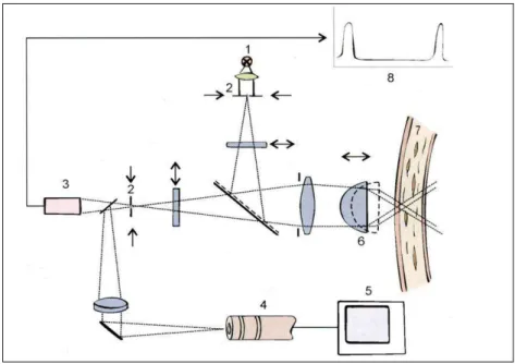 4. ábra. Slit-scanning mikroszkóp működési elve. [7]  1-fényforrás, 2-konfokális rés, 3-fotoszenzor,  4-videokamera, 5-monitor, 6-objektív lencse, 8-Z-scan 