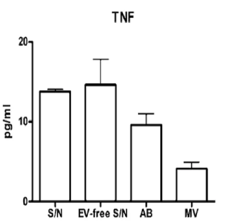 8. ábra: A CCRF sejtvonal felülúszójábol izolált EV típusok TNF citokintartalma. 